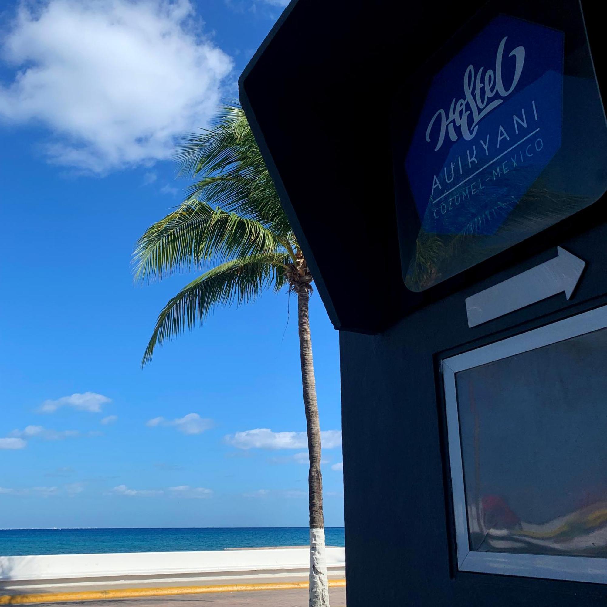 Auikyani * Cozumel